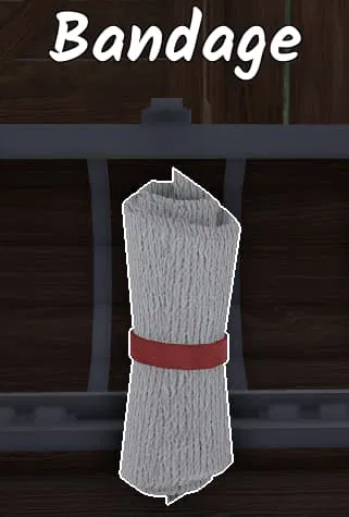 A first-aid bandage, a crucial survival item